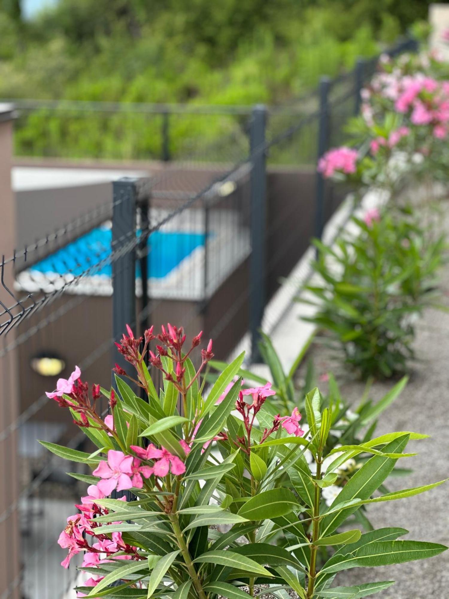 Residence Spa Apartments Dub Kotor Exterior photo
